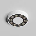 Modern Round Ceiling Light With White Central Panel And Decorative Dark Trim Design 3d model