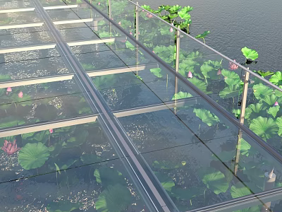 Transparent Glass Walkway With Metal Railings Over Water Surface Featuring Lotus Leaves And Flowers 3d model
