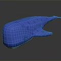 Realistic Blue Whale Shark Aquatic Animal 3D Model on Dark Background