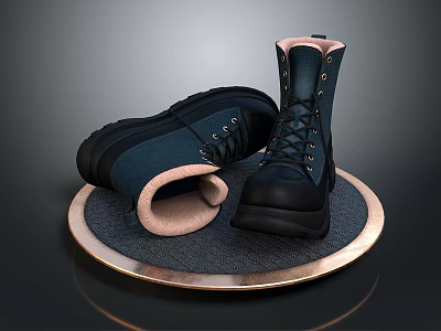 Black And Blue Lace Up Boots With Light Lining On Round Metal Edge Tray 3d model