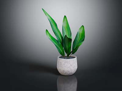 Green Leafy Plant In Light Gray Concrete Pot On Smooth Reflective Surface 3d model