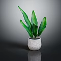 Green Leafy Plant In Light Gray Concrete Pot On Smooth Reflective Surface