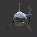 Realistic Blue Shark 3D Rendered With Open Mouth And Lifelike Swimming Pose