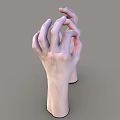 Human Hands and Arms Posed in OK Gesture Displayed on Gray Background 3d model