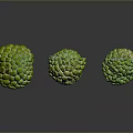 Fresh Ripe Sugar Apples With Green Textured Skin Halved Showing Pulp And Seeds