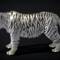 Realistic White Tiger With Striped Fur Standing In Black Background And Detailed Paws