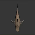 Grayish Brown Spotted Shark Model With Open Mouth Sharp Teeth On Dark Background With Reflection