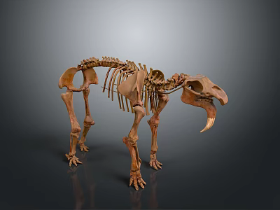 Detailed Mammoth Skeleton Model With Realistic Anatomical Structure And Standing Posture 3d model