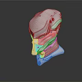 Futuristic White Head Model With Detailed Structure Sleek Design And Dark Background