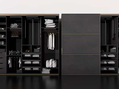 Modern Black Wardrobe Interior With Hanging Rods Folded Clothes And Storage Drawers 3d model