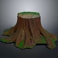 Natural Wooden Tree Stump With Detailed Texture And Green Mossy Base