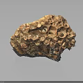 Textured Natural Shell Specimen With Honeycomb Pattern And Brown Irregular Surface