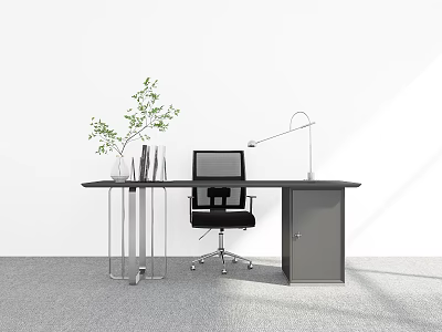 Modern Home Office Desk With Black Chair Desk Lamp Green Plant And Stationery 3d model
