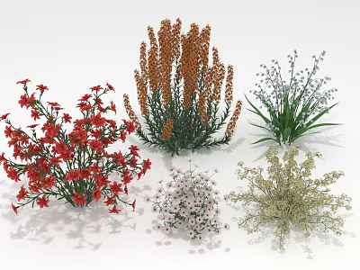 Various Red Blue White And Beige Flowering Plants With Spike Blooms And Green Leaves 3d model