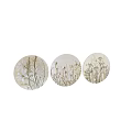 Abstract Painting On Round Plates With Pressed Plants Grass And Flowers Design
