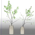 Two White Ceramic Vases With Green Leaf Branches For Interior Decorative Arrangement