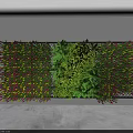 Hanging Basket Plants on Indoor Wall with Black Frame and Colorful Green Red Leaves