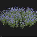 Garden Landscape With Lush Purple Flowers And Green Foliage Design