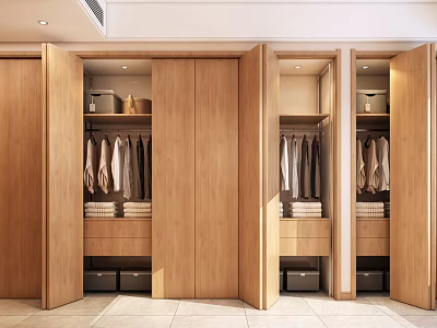 Modern Wooden Wardrobe Interior With Hanging Clothes Drawers And Storage Boxes 3d model