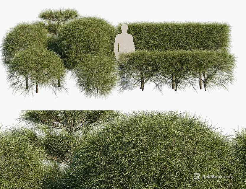 Various Shaped Evergreen Shrubs For Garden Landscaping And Decoration 3d model 
