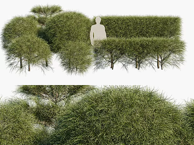 Various Shaped Evergreen Shrubs For Garden Landscaping And Decoration 3d model