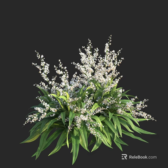 Lush Green Leafy Plants with Small White Flowers for Garden Decoration 3d model 