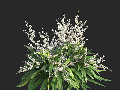 Lush Green Leafy Plants with Small White Flowers for Garden Decoration 3d model