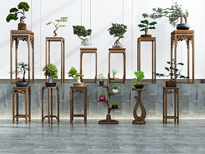 Wooden Plant Stands In Various Styles Display Bonsai And Potted Green Plants 3d model