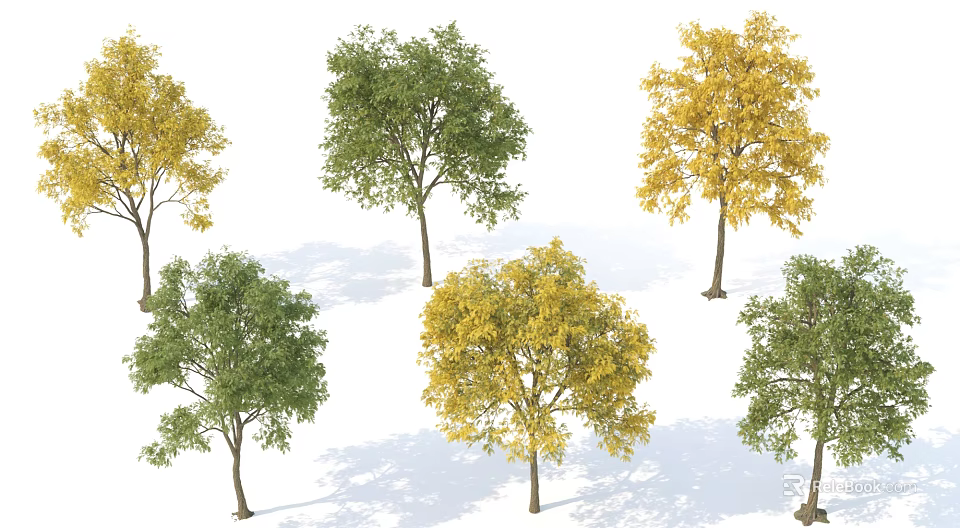 Various Arbor Trees With Green And Yellow Foliage In Natural Scenery 3d model 