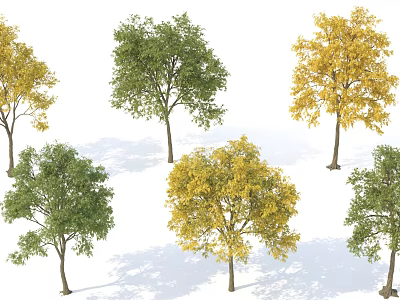 Various Arbor Trees With Green And Yellow Foliage In Natural Scenery 3d model