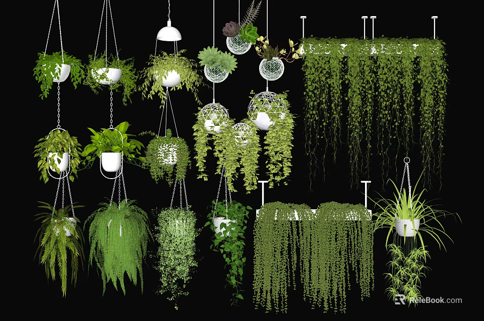 Beautiful Hanging Basket Plants With Green Trailing Foliage For Home Decoration 3d model 