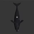 Realistic Black Whale With White Spots Open Mouth Detailed 3D Rendering Model