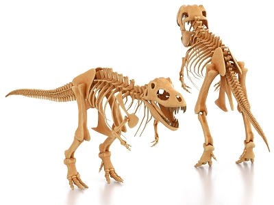 dinosaur fossil dinosaur bone dinosaur skeleton 3d model