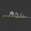 Lush Green Vegetation on Terrain Model Featuring Rocks Cave Structure and Markers 3d model