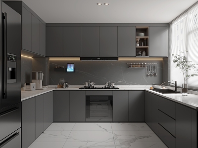 Modern Kitchen model