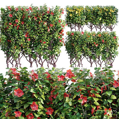 Lush Blooming Shrubs With Red Flowers And Green Foliage In Natural Garden Setting 3d model