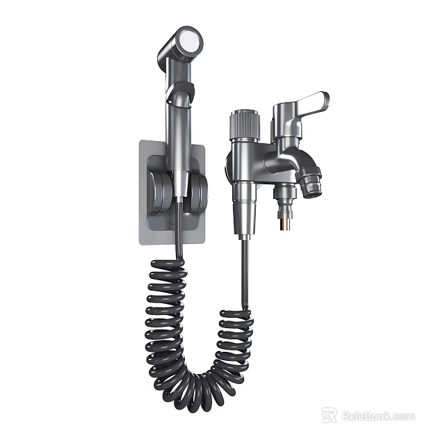 Stainless Steel Kitchen Wash Sprayer With Flexible Coiled Hose Wall Mounted 3d model 