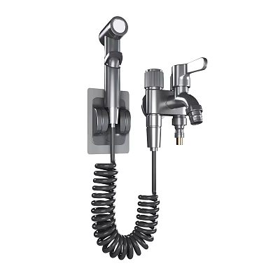 Stainless Steel Kitchen Wash Sprayer With Flexible Coiled Hose Wall Mounted 3d model
