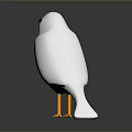 White Bird with Orange Beak and Feet Standing on Reflective Black Surface against Gray Background