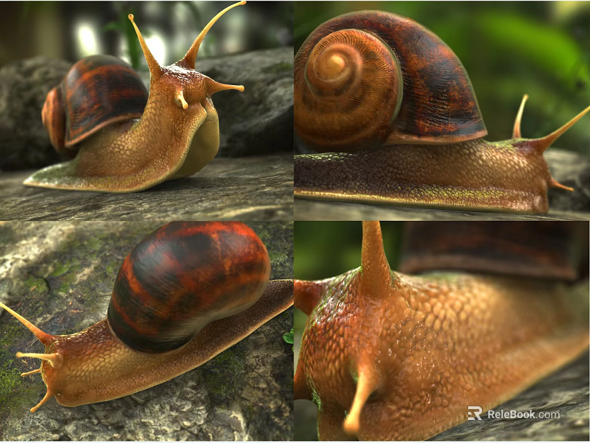 Snail With Brown Spiral Shell And Long Antennae On Mossy Tree Bark 3d model 