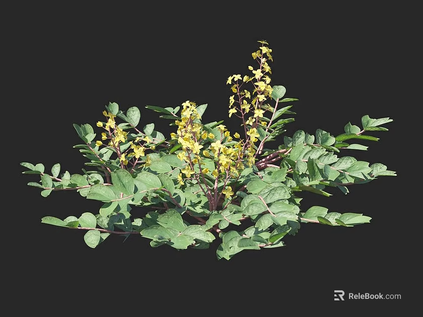 Vibrant Plant With Green Leaves And Small Yellow Flowers On Black Background 3d model 