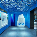 Underwater Oceanarium Tunnel With Colorful Fish Coral Large Aquarium Tanks Rock Decorations And Soft Lighting
