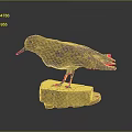 Detailed Bird Taxidermy Specimen Perched On Wooden Stump Against Dark Background