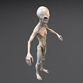 Gray Humanoid Alien Creature 3D Model With Thin Limbs And Large Eyes