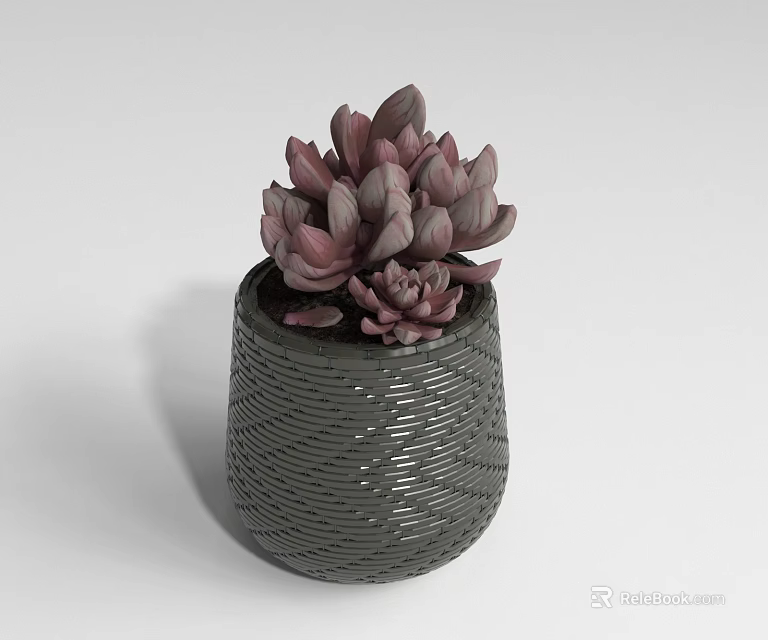 Bonsai Potted Succulent Plant In Gray Woven Texture Pot With Purple Red Leaves 3d model 