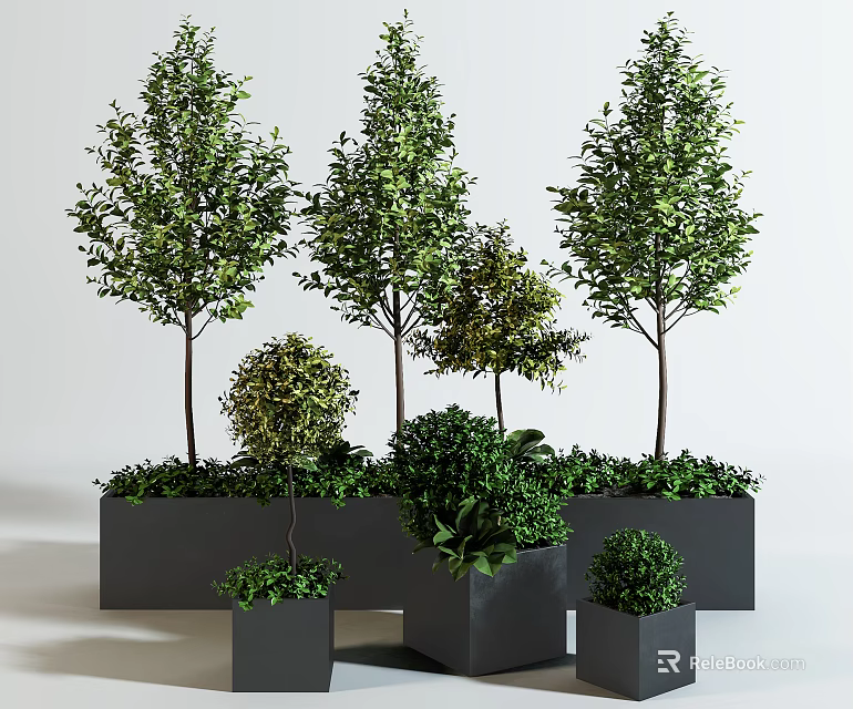Bonsai Plants In Black Square And Rectangular Pots With Various Sizes And Shapes 3d model
