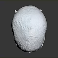 Medical Device Human Skull Model With Detailed Anatomical Structure For Medical Teaching And Training