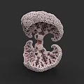 Intricate Sculpture Carving With Pinkish White Porous Surface And Branched Organic Structure