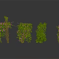 Various Green Plants With Leafy Vines And Branches For Indoor Decoration