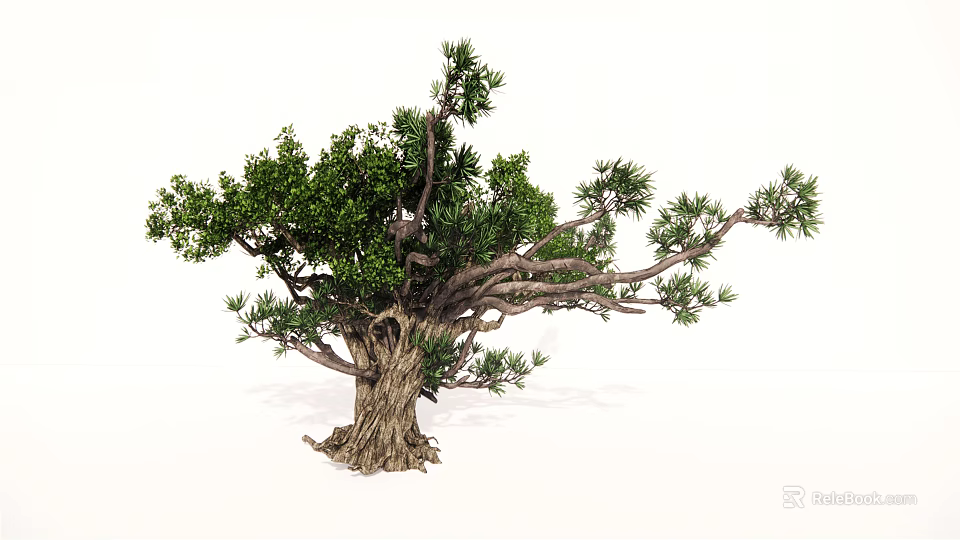 Lush Arbor with Thick Trunk Green Leaves and Exposed Root System 3d model 